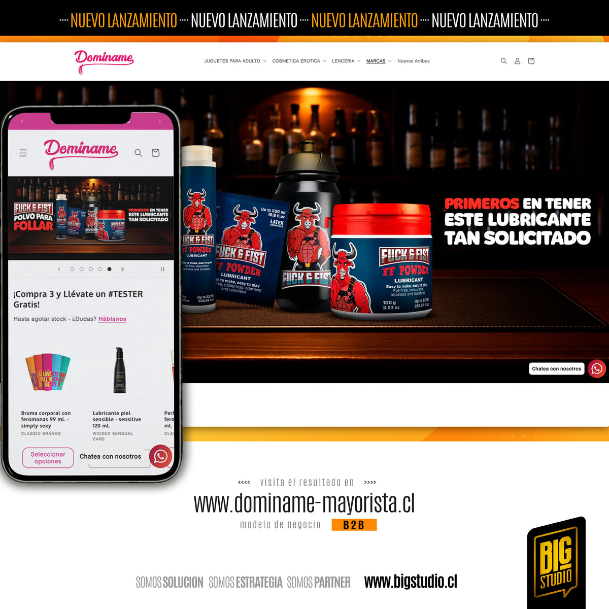 Portafolio BigStudio: proyecto Dominame, diseño web en Shopify y branding en Chile