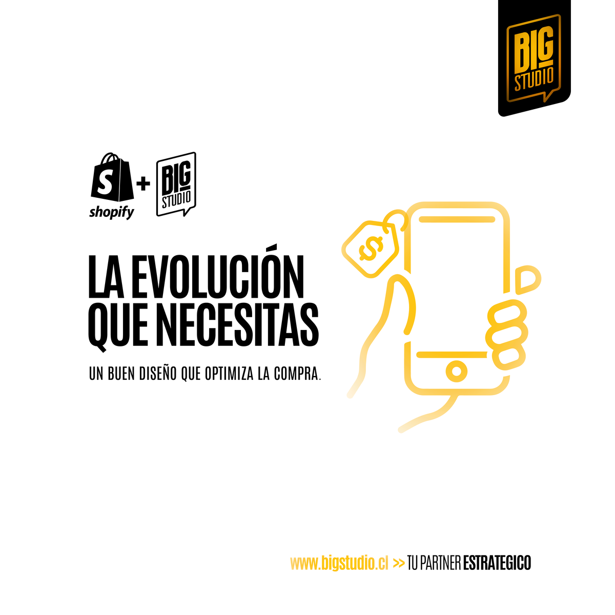Diseño web en Shopify que convierte