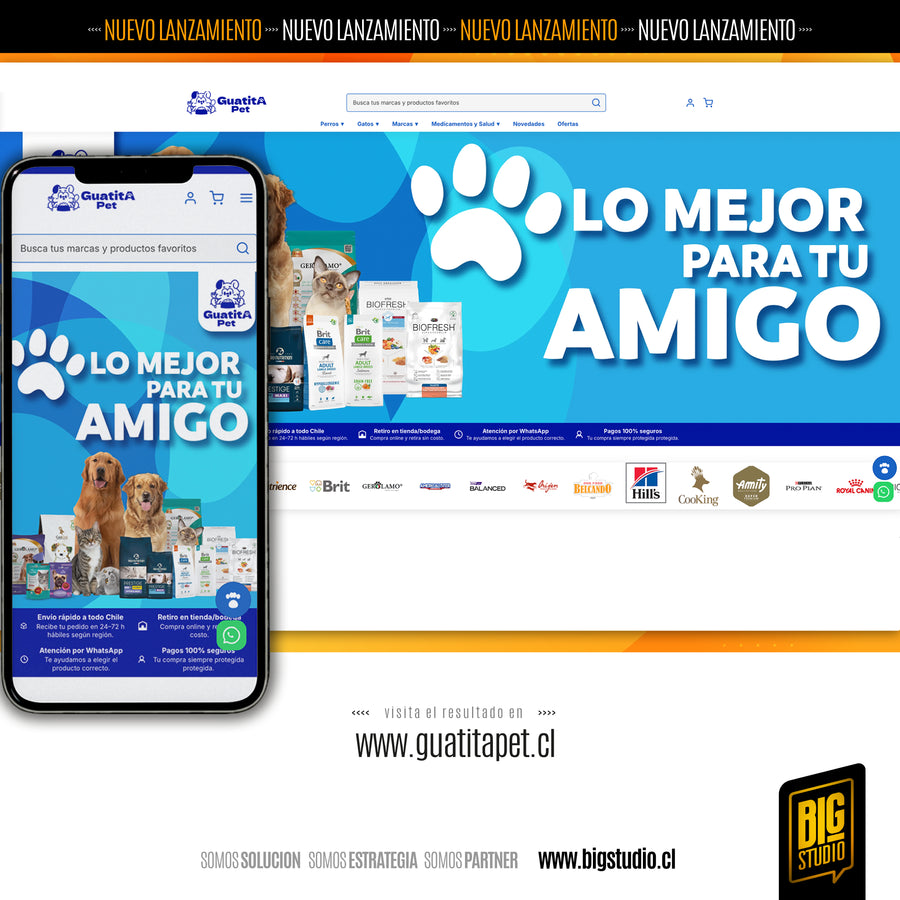 Guatita