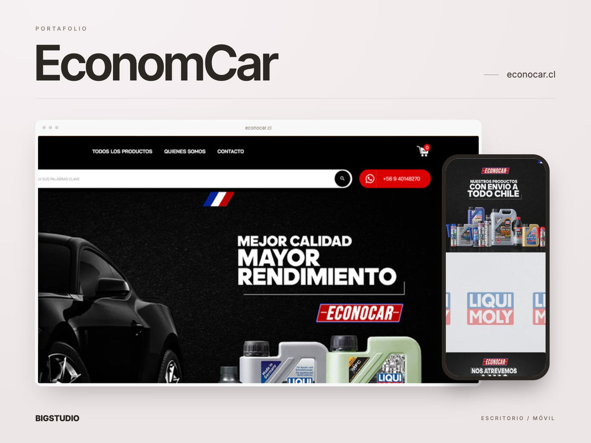 EconomCar, imagen del portafolio