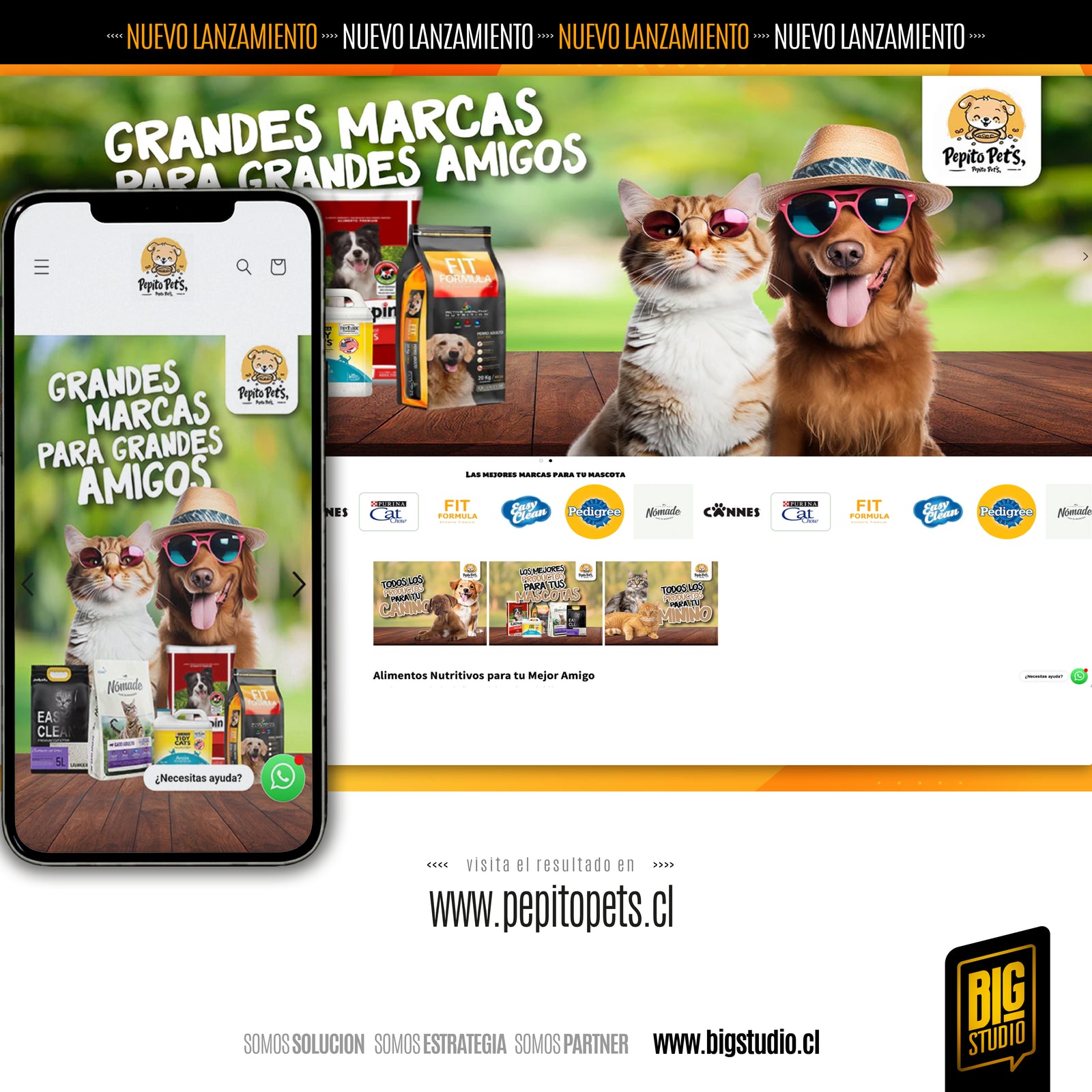 Diseñamos Ecommerce con resultados.